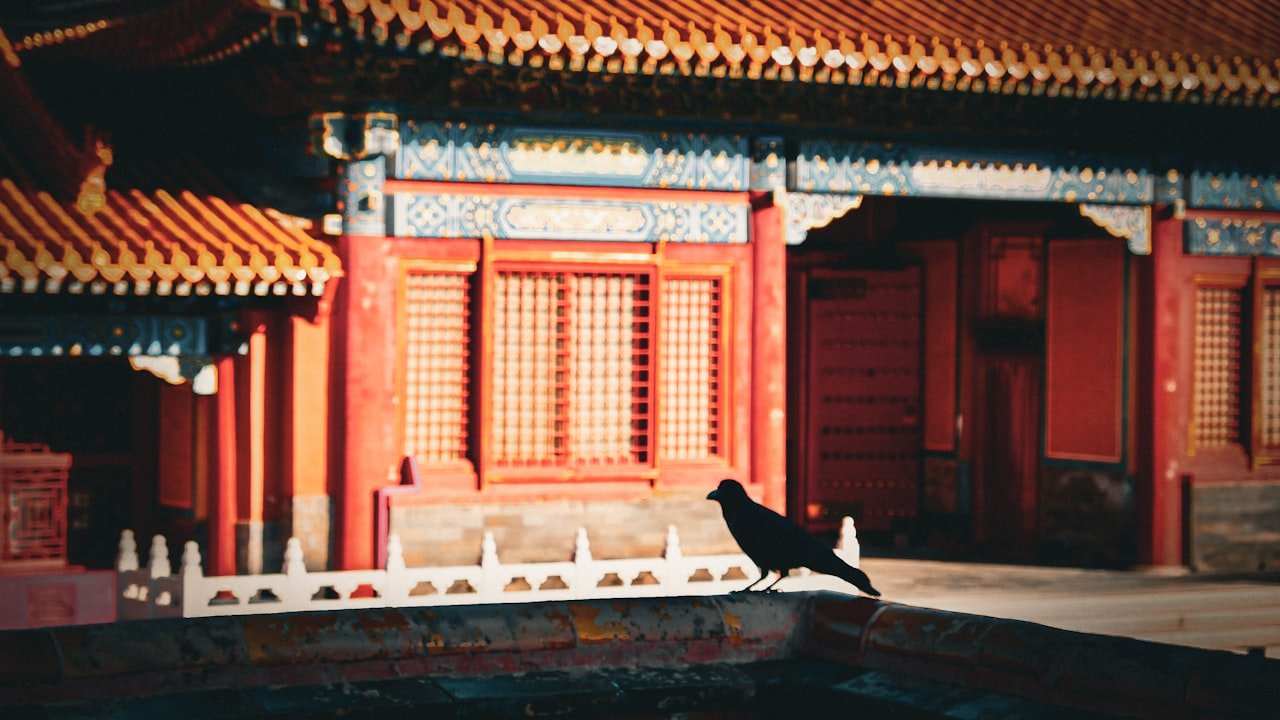 Where Can I Find Direct China Suppliers?